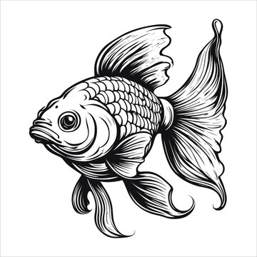 Goldfish tattoo with cool black writing outline style art