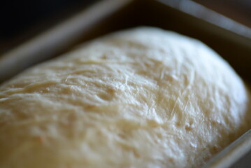 To ferment the bread dough.