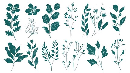 Fototapeta premium Set of Differents flower linen on white background