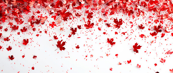 Maple leaves and confetti falling and scattered on a white background.