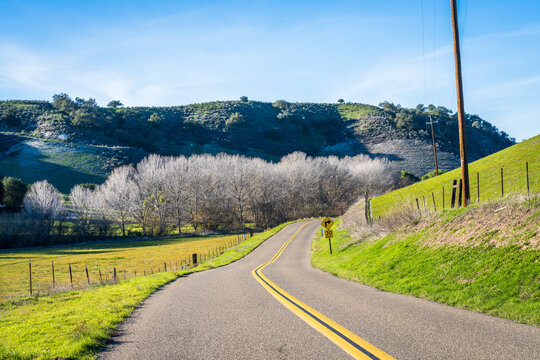 Rolling Hills of Los Olivos