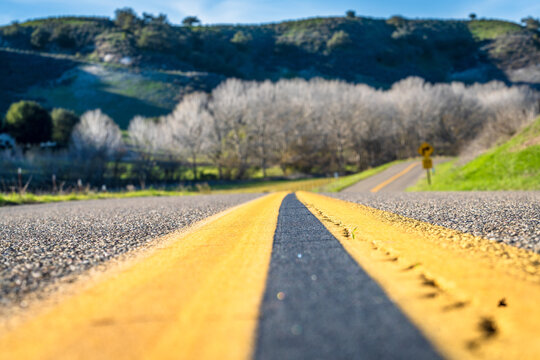 Rolling Hills of Los Olivos
