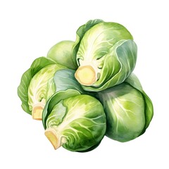 Obraz premium Watercolor of Fresh and Healthy Brussels Sprouts on White Background