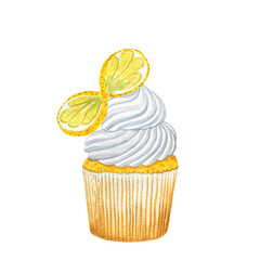 Cupcake with white cream and lemon slice watercolor illustration. Hand drawn image of a confectionery product on an isolated background. For menu and design.