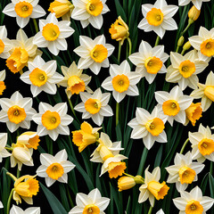 White spring flowers daffodils in the garden on a blurred background of tall trees and sky. Spring view.
