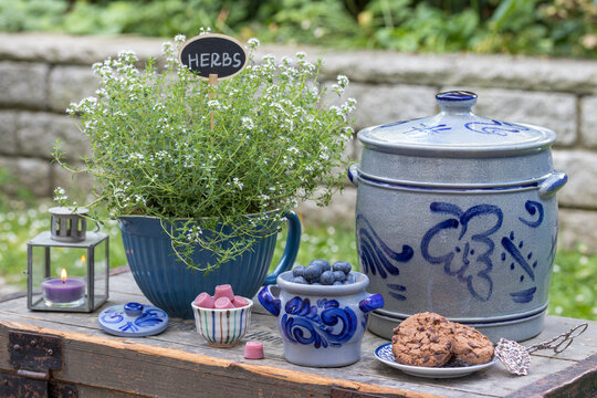 Tisch-Arrangement mit Thymian im Topf, Heidelbeeren, Schokoladen-Cookies und Rumtopf