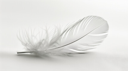 A Single Feather Floating Gracefully on White Background with Side Angle.
