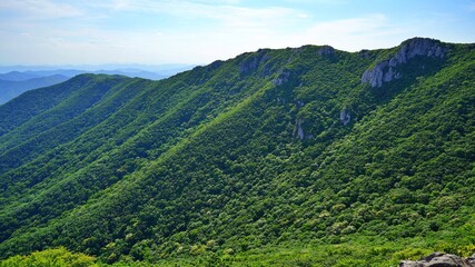 Obraz premium Beautiful summer scenery of Gajisan Mountain in Korea