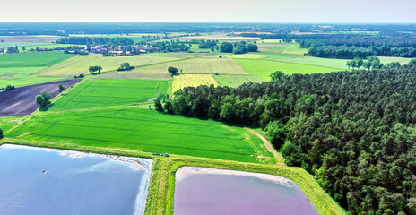 Aerial View of a Green Monotonous Farmland in Northern Germany with a Water Basin in the Foreground