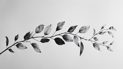 Obraz premium Black and white floral illustration with leaves or branches