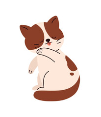 Fototapeta premium Naughty cat licking fur, playful kitten. Flat cartoon style vector illustration isolated on white background