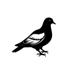 bird black silhouette vector design logo