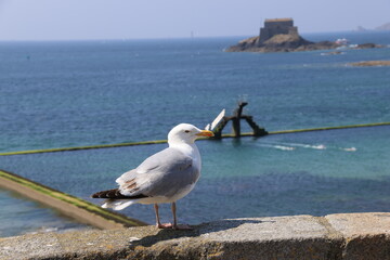 Piscine d'eau de mer - Saint-Malo
