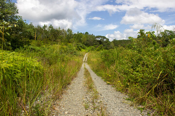 the farm road on village in sumatera, indonesia, sandy or rocky road