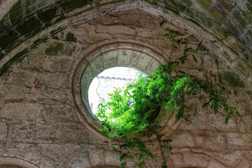 Details Fontfroide Abbey in France