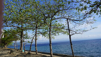 Obraz premium By The Way