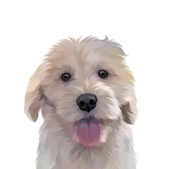 Colorful detailed dog Illustration