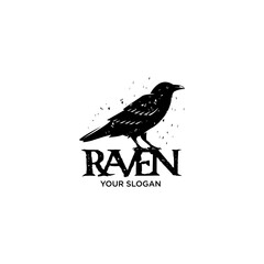 raven silhouette logo vector illustrations