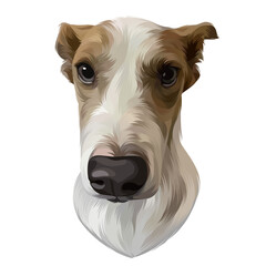 Colorful detailed dog Illustration