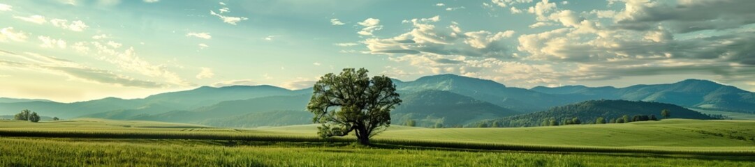 Fototapeta premium Lone tree in vast green field with rolling hills and mountains in the background under a partly cloudy sky nature landscape
