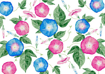 朝顔　夏 花　背景 模様 パターン　水彩 イラスト