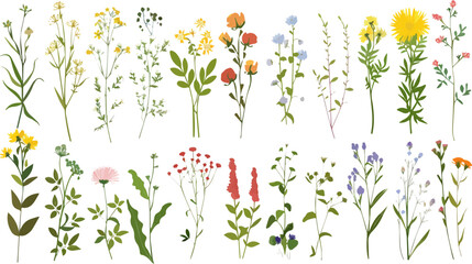 Watercolor floral and wildflowers use by fabric, fashion, wedding invitation, template, poster, romance, greeting, spring, bouquet, pattern, decoration and textile.