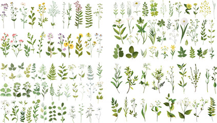 Set of watercolor greenery leaves twigs floral plant forest herbs isolated on white background. Summer Botanical spring leaf vector for wedding invitation card, frame and wreath. © Pixel Park