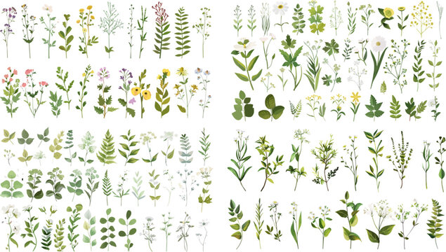 Set of watercolor greenery leaves twigs floral plant forest herbs isolated on white background. Summer Botanical spring leaf vector for wedding invitation card, frame and wreath.