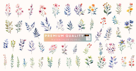 High-quality watercolor wildflowers and leaf grass. Beautiful decoration watercolor floral and leaf elements for design, poster, growth, invitation, wedding and card design. Vector EPS illustrator. 