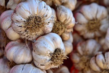 garlic on the market