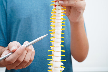 Asian student learning with human bone and spinal nerve model in anatomy biology in classroom at high school.