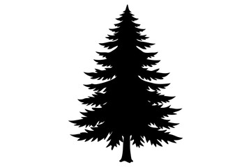 Spruce Tree silhouette vector illustration