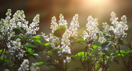 The first flowers against the background of green spring. Spring bloom.
