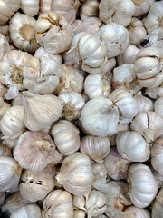 Cloves of garlic 