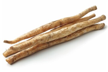 Fresh burdock root vegetable on white background