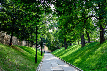Long alley and green trees in the Citadel Park (Parcul Cetatii), in the historical center of the Sibiu city, in Transylvania (Transilvania) region of Romania, in a sunny summer day.