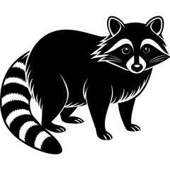 raccoon--silhouette