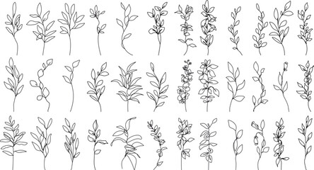 Flowers, Branches Line Art Vector Illustration Set for Prints, Social Media, Icons. Floral Art Trendy Minimalist Style. Set of Abstract Flowers in Linear Style. Hand Drawn Doodle Template Collection