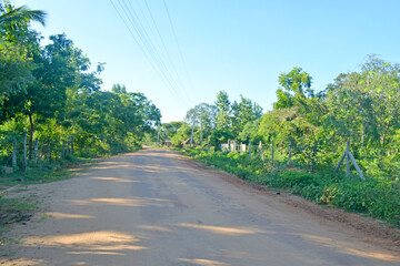 Rural village road development along the tree shade