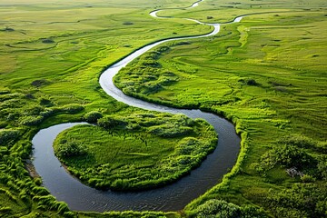 Aerial view of a winding river flowing through vast green grasslands with minimalistic composition and high-definition clarity - Powered by Adobe