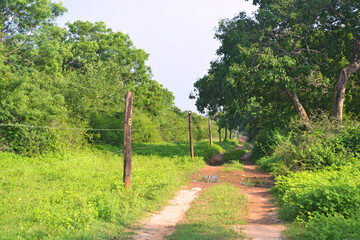 Rural safari track along the national park buffer zone