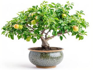 Lush apple bonsai tree with green leaves and ripe apples in a decorative pot, perfect for indoor gardening and home decor.