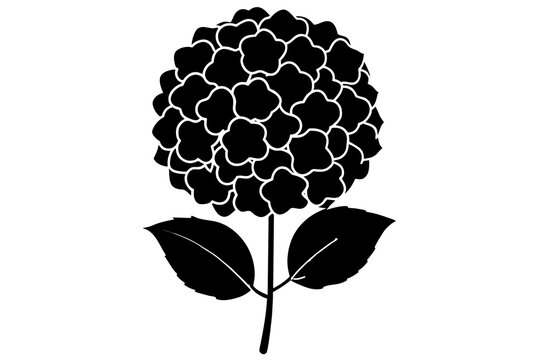 black hydrangea flower stem leaves clip art preview