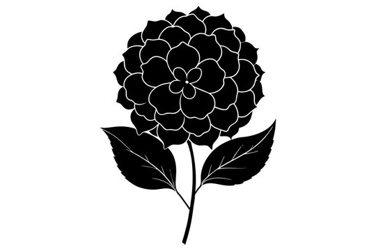recommend clip art: hydrangea flower silhouette vector illustration