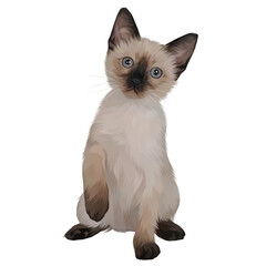 Colorful Detailed Cat Illusration