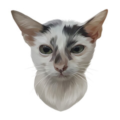 Colorful Detailed Cat Illusration