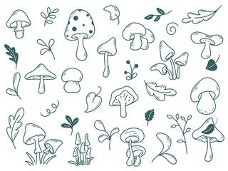 Mushrooms, foliage and herbs doodle sketch style set. Autumn harvest of forest mushrooms hand drawn clip art collection. Black outline of different shaped mushrooms, vector graphics