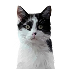 Colorful Detailed Cat Illusration