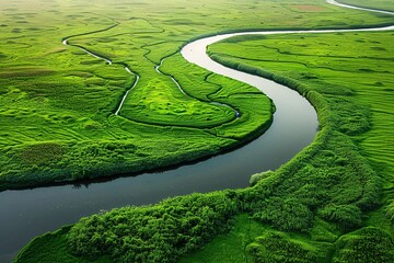 High-definition aerial image of a twisting river amidst a sea of green grasslands with a minimalistic approach