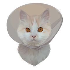 Colorful Detailed Cat Illusration